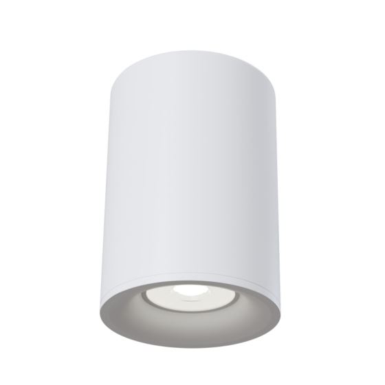 Ceiling Lamp C012CL-01W