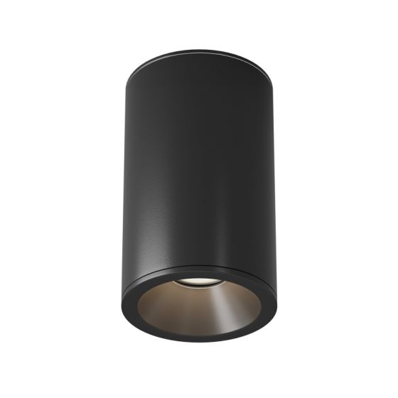 Ceiling Lamp C029CL-01-S-B